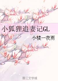 小狐狸追妻记gl宝书网 百度网盘