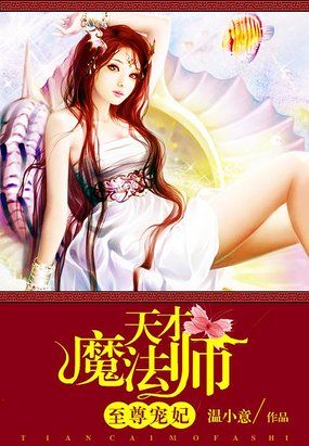 至尊宠妃:天才魔法师小说