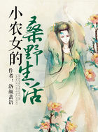 小农女的桑野生活未删减版