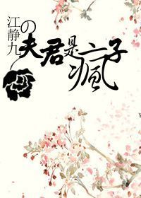 夫君是疯子作者:江静九