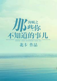 海贼之那些你不知道的事儿小说