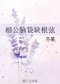 相公脑袋缺根弦 齐某